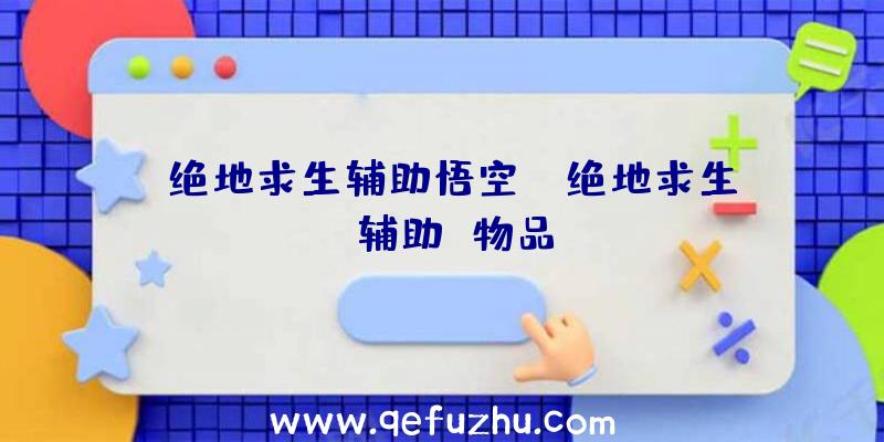「绝地求生辅助悟空」|绝地求生